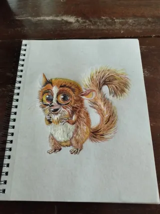 Ritratto Mortino Madagascar Disegno