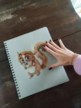 Ritratto Mortino Madagascar Disegno