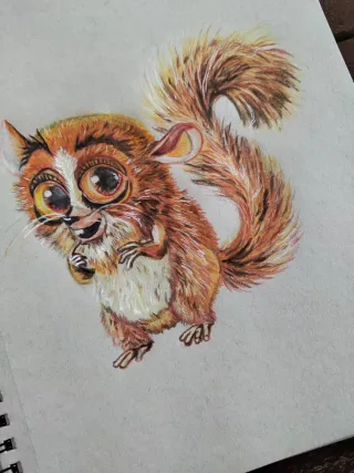 Ritratto Mortino Madagascar Disegno