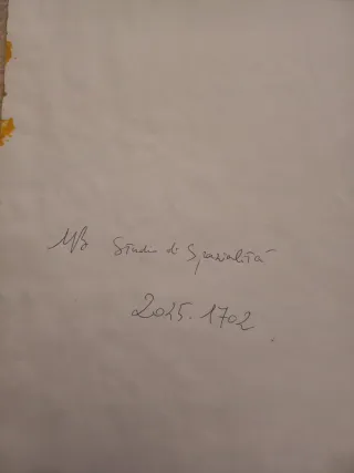 Dipinto-disegno "Studio di spazialità"