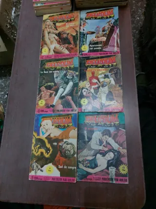 Lote 39 cómics DELIRIUM terror