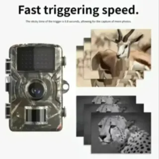 2 Cámaras Caza Fototrampeo 64GB