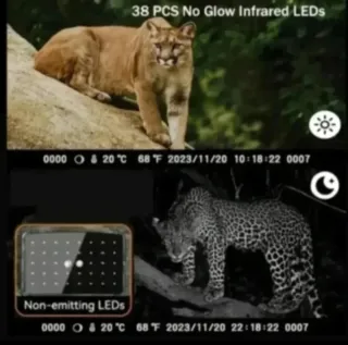 2 Cámaras Caza Fototrampeo 64GB