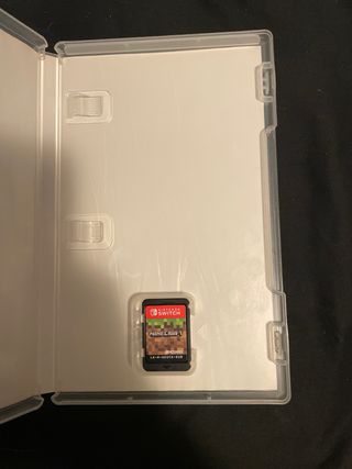 Minecraft Nintendo Switch