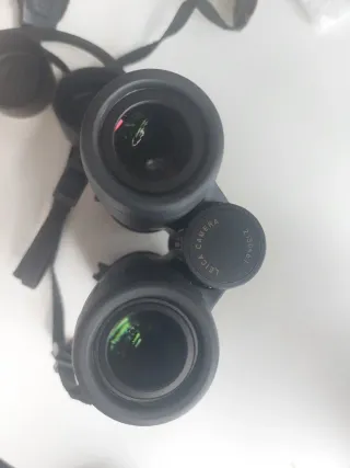 Prismáticos Leica Trinovid HD 8x32