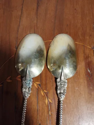 Juego de 2 Cucharas Plateadas