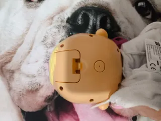 Bebe llorón lagrimas