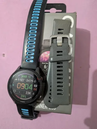 Garmin Forerunner 255 Gris