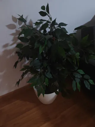 Planta artificial decorativa tamaño grande