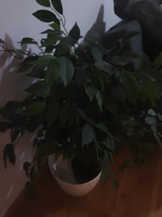 Planta artificial decorativa tamaño grande