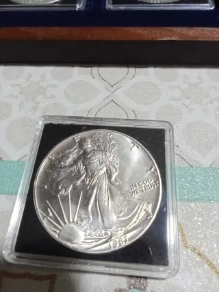 Lote 8 Dólares de Plata Colección