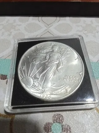 Lote 8 Dólares de Plata Colección