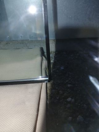 2 Cristales para Ventana