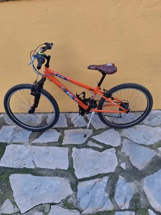 Bicicleta Junior-Adulto Berg 24 Pulgadas