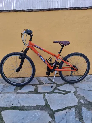 Bicicleta Junior-Adulto Berg 24 Pulgadas