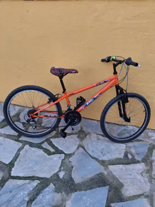 Bicicleta Junior-Adulto Berg 24 Pulgadas