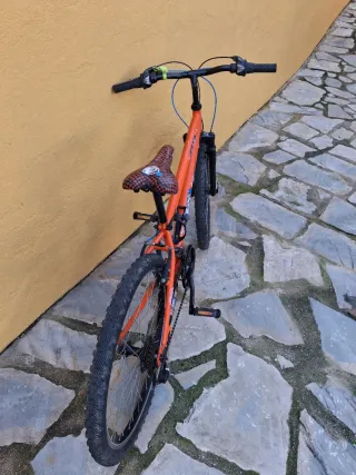 Bicicleta Junior-Adulto Berg 24 Pulgadas