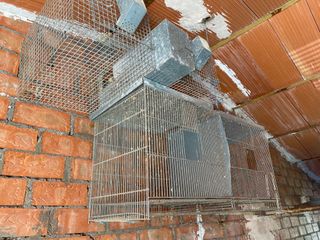 Jaula para pájaros y conejos