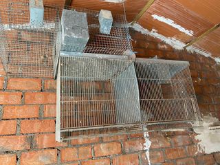 Jaula para pájaros y conejos