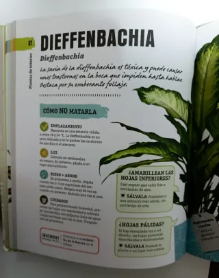 Libro Cómo no matar tus plantas