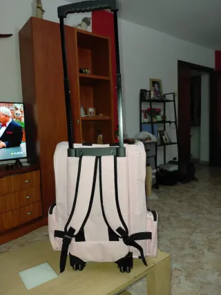 Transportín para mascotas con ruedas