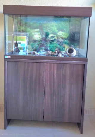 Acuario con mueble marrón.
