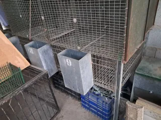 2 Jaulas Cria Conejas 2 Huecos y 2 Destete