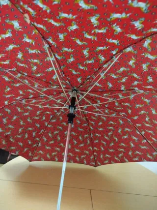 Paraguas rojo estampado