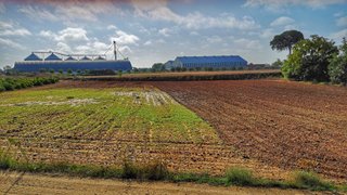Bancal 1 almud en el KM 20 Tarazona de La Mancha
