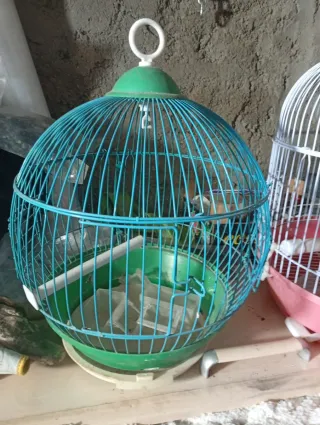 Jaula para mascotas transparente y amarilla