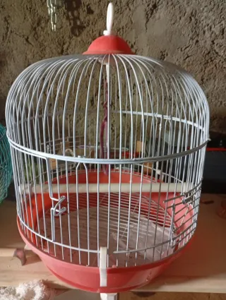 Jaula para mascotas transparente y amarilla