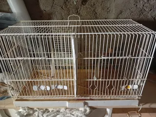 Jaula para mascotas transparente y amarilla