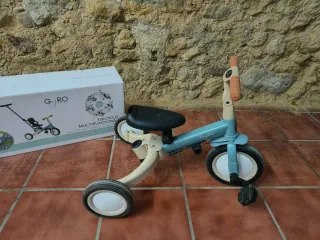 Triciclo Evolutivo Gyro