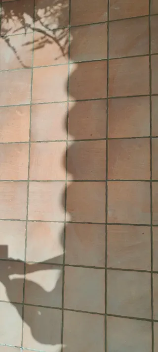 Trabajos de reformas