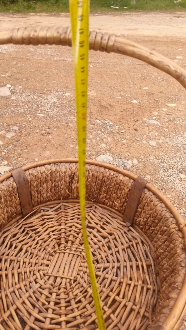 Cesta Mimbre Ratán Vintage Tejida Mano