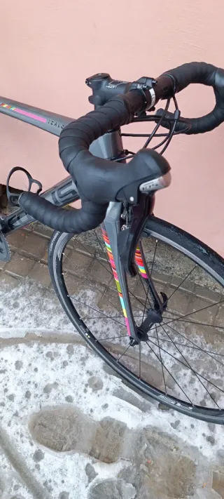 Bicicleta de carretera Focus Carbono