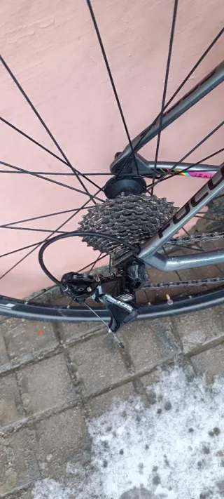 Bicicleta de carretera Focus Carbono