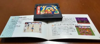 Puzzle & Action Ichidant R SEGA Game Gear