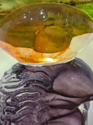 Kosta Boda Cristal Arte Kjell Engman