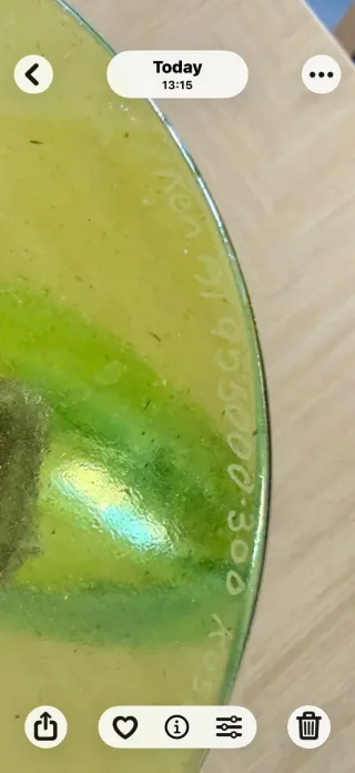 Kosta Boda Cristal Arte Kjell Engman