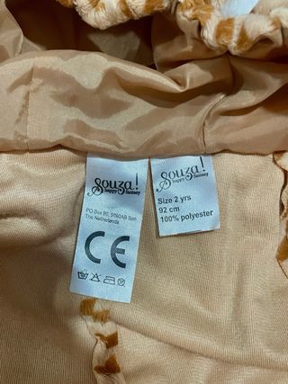 Disfraz Tigre Infantil Souza!