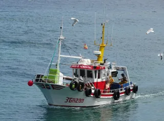 Barco Pesca Nuevo Vendaval 11,49m