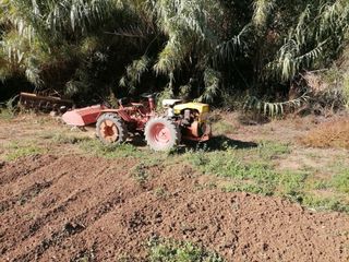 Tractor Pasquali