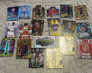 Colección Cromos Fútbol Panini 40