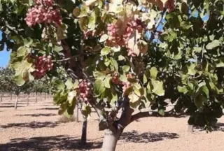 Finca de labor regadío y secano Toledo