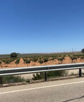 Finca de labor regadío y secano Toledo