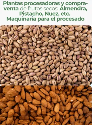 Finca de labor regadío y secano Toledo