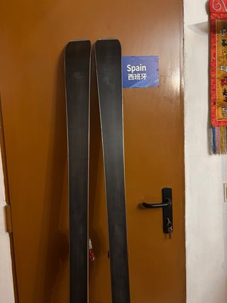 Esquís de competición VIST