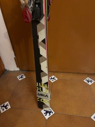 Esquís de competición VIST