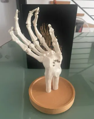 Organizador de joyas Suck Uk